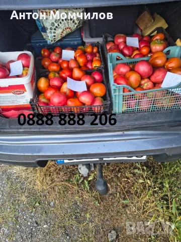Продавам вкусни домати, снимка 2 - Домашни продукти - 55884872