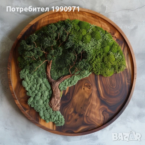 Стенен декор - пано. Ествествена дървесина с исландски мъх. Изработка по поръчка., снимка 2 - Декорация за дома - 53726848