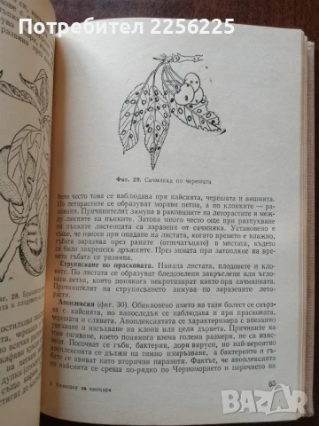 Календар на овощаря, снимка 3 - Специализирана литература - 50611522