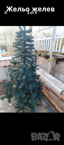 Елха,бяла,95см 25лв, елха180см,70лв, снимка 5 - Изкуствени цветя - 43292966