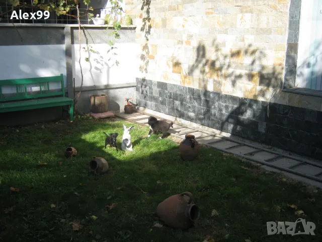 ЛУКСОЗНА КЪЩА на два етажа , РЗП 360 кв.м, снимка 6 - Къщи - 48673495