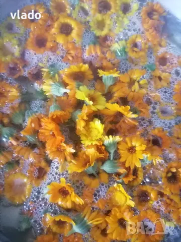 Домашен мехлем от невен с мас, снимка 4 - Други - 47291531