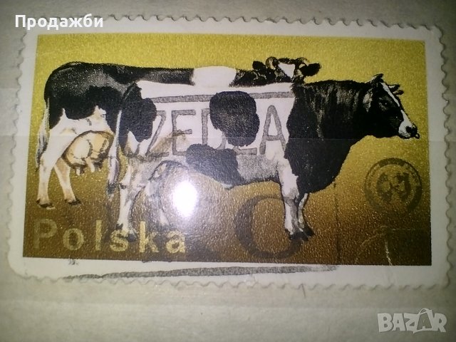 Стари Полски пощенски марки, снимка 17 - Филателия - 41806751