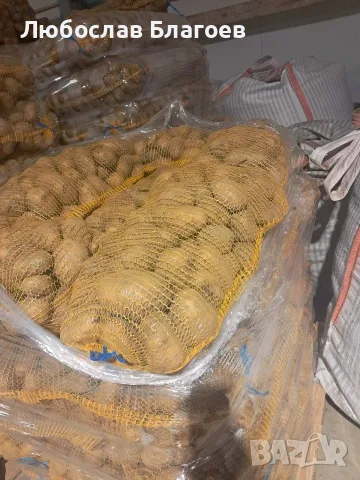 Картофи за консумация сорт Сорая, снимка 3 - Домашни продукти - 55875873