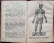 Цель въ естеството и няколко теории /1891/ Андрей Стоевъ Цановъ, снимка 5