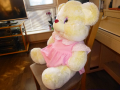 Плюшена Мечка, снимка 2