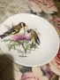 Английска чаша за чай костен порцелан птици, снимка 2