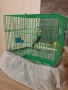 Продавам вълнист папагал заедно с клетката , снимка 2