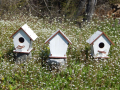 Къщички за птици , върху които може да се рисува ., снимка 5