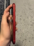 iPhone 11 64гб червен с кутия , снимка 3