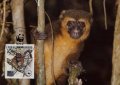 Мадагаскар 1988 - 4 броя Карти Максимум - WWF
