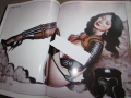 Mark E. Rogers artbook еротика , снимка 1 - Енциклопедии, справочници - 44796459