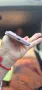 iPhone 15 като нов, снимка 3