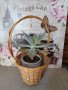 декоративна плетена кошничка от Испания., снимка 1 - Декорация за дома - 42075977