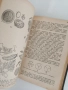 Ръководство по обща ботаника 1898г, снимка 9
