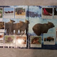 Албум стикери - Животните по света -Animals of the world 1989 from Panini, снимка 6 - Други - 38717419