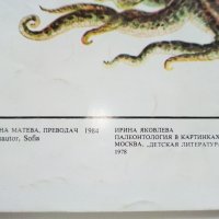 Палеонтология в картинки - И.Яковлева - 1984г. , снимка 10 - Детски книжки - 38938213