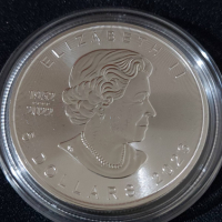 Канада 2023 - 5 долара - Кленов лист - 1 OZ – Сребърна монета, снимка 4 - Нумизматика и бонистика - 44811819