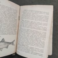 Продавам две книги за риболов, снимка 6 - Други - 41159282