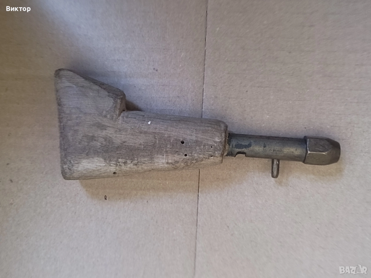 Оса, снимка 1