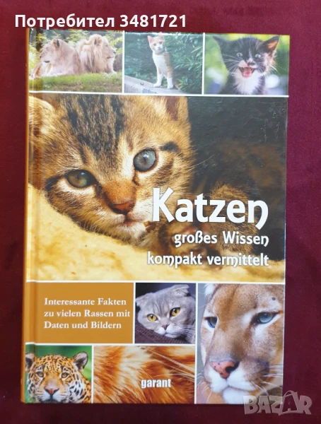 Справочник на котките - домашни и диви / Katzen, снимка 1