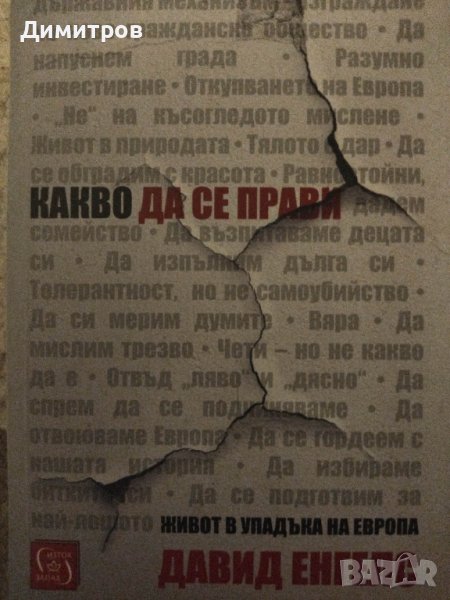 Какво да се прави. Давид Енгелс, снимка 1