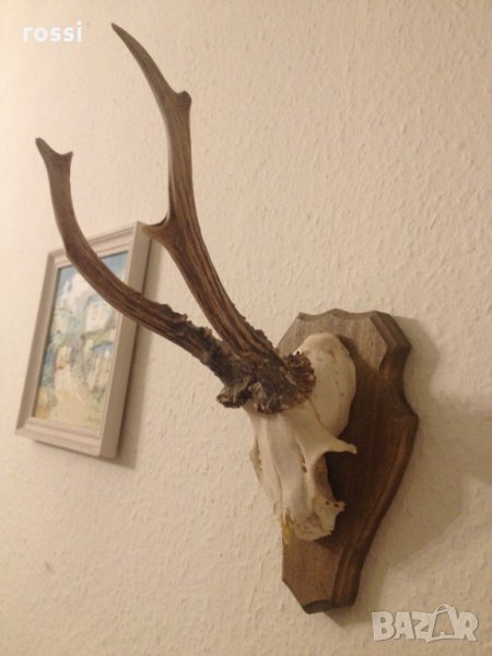 Немски трофей сръндак, документ., снимка 1