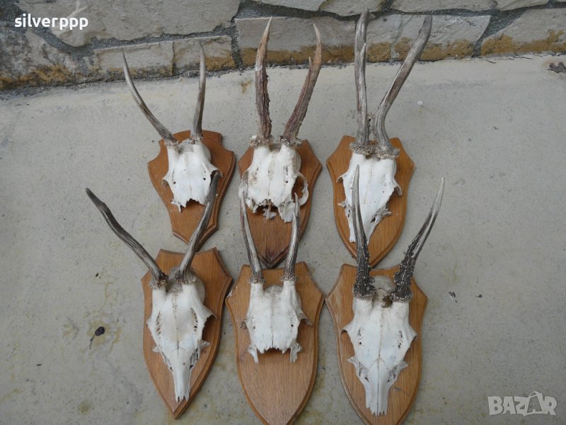 Стари немски трофейчета - 6 броя, снимка 1