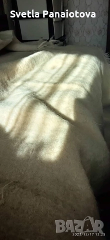 Вълнени одеала! , снимка 9 - Олекотени завивки и одеяла - 52348111