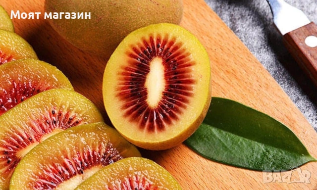 Киви - 10 вида, снимка 5 - Градински цветя и растения - 53641264