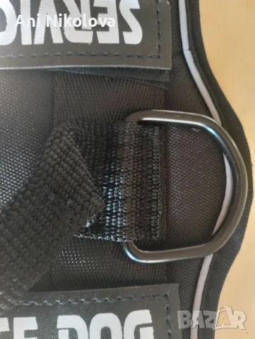 Сет за служебно куче, снимка 2 - За кучета - 50042121