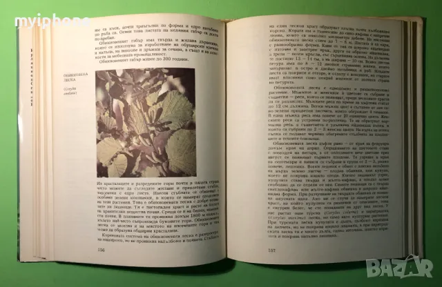 Стара Книга Атлас по Ботаника/Сл.Петров,Е.Паламарев, снимка 7 - Специализирана литература - 49279602