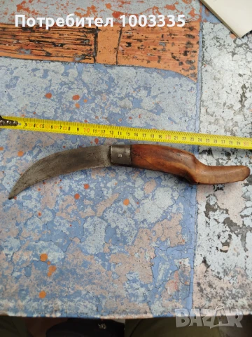 Стара ножка,сойка