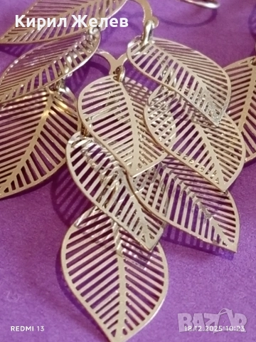 Модерни сребърни обеци във формата на листо нежни елегантен дизайн 52381, снимка 7 - Обеци - 52833898