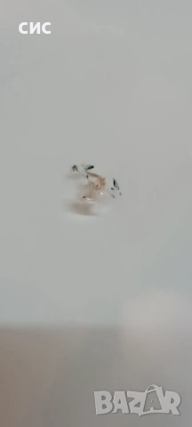 Предно Стъкло за Mercedes R-Class (W251) – PPG SOLEEXTRA + СЕНЗОР, снимка 6 - Части - 53748384