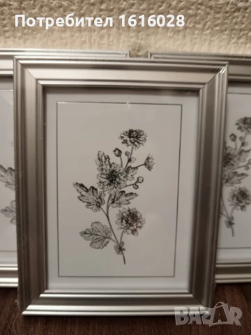 Три малки рамки за снимки., снимка 2 - Картини - 50644862