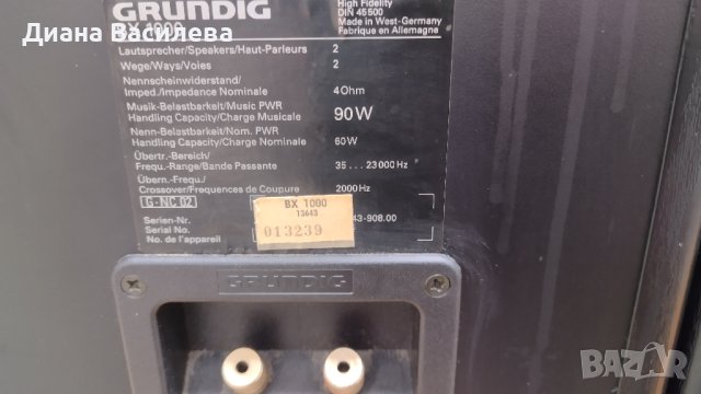 GRUNDIG BX-1000, снимка 11 - Тонколони - 41888190