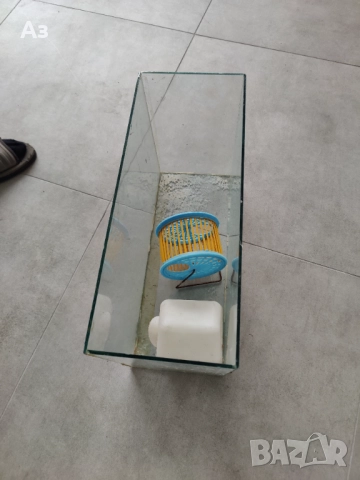 Продавам Терариум, здрав – използван, снимка 7 - Декорация за дома - 52329057