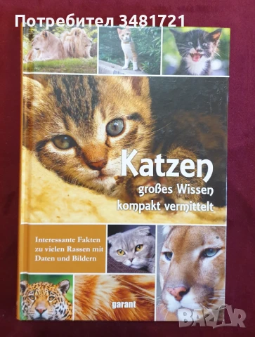 Справочник на котките - домашни и диви / Katzen, снимка 1