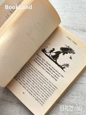 Лешникотрошачката и други приказки, Хофман. Майстори на приказката , снимка 8 - Детски книжки - 49267392