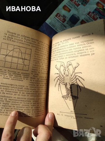 Живите звуци на морето, снимка 3 - Художествена литература - 41764423