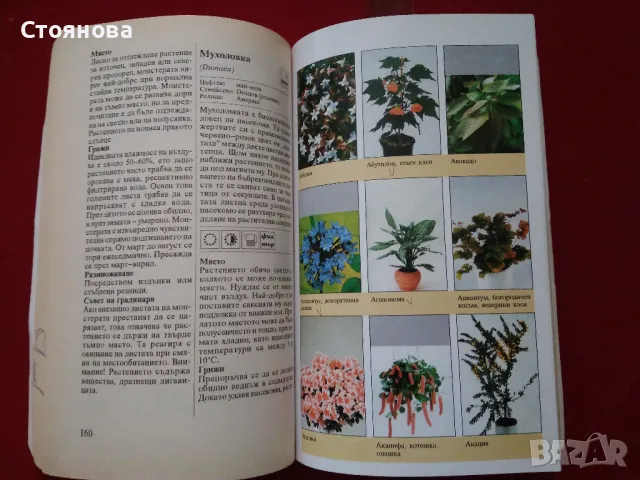 Книги за цветята: "Цветя в градината" Анка Дончева и "400 цветя за дома" , снимка 14 - Специализирана литература - 49783135