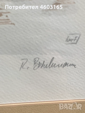 стара картина акварел от 1865г, снимка 9 - Картини - 52681351
