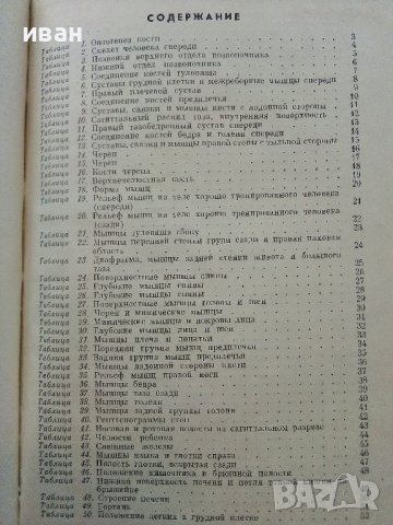Анатомия Человека - М.Курепикина,Г.Воккен - 1963г. , снимка 15 - Специализирана литература - 39010401