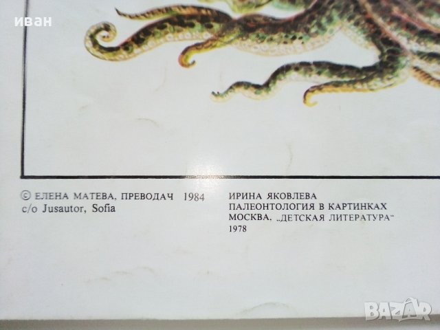 Палеонтология в картинки - И.Яковлева - 1984г. , снимка 10 - Детски книжки - 38938213