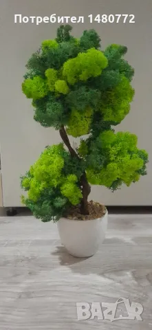 Бонсай със скандинавски мъх в саксийка, снимка 9 - Декорация за дома - 48125215
