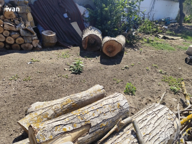 Продавам орехови трупи, снимка 2 - Дърводелски услуги - 51451775