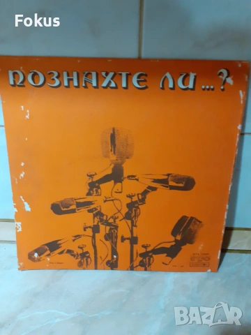 Стара голяма грамофонна плоча, снимка 3 - Антикварни и старинни предмети - 53390756