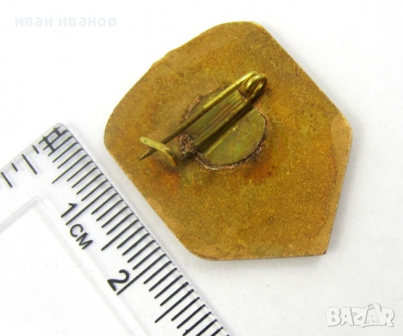 БЗНС-1962г-30ти конгрес-Рядък знак-Соц епоха, снимка 3 - Колекции - 36191892