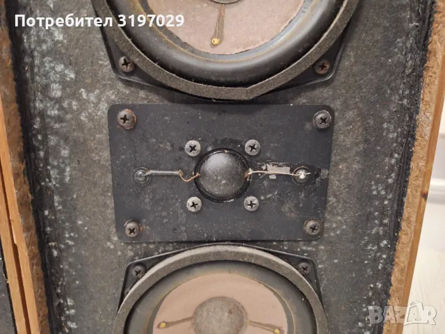 Редки тонколони немски, снимка 12 - Тонколони - 48348976